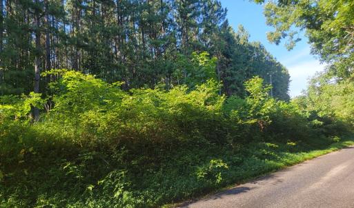 Photo #10 of 626 Double Bridges, Keysville, VA 8.7 acres