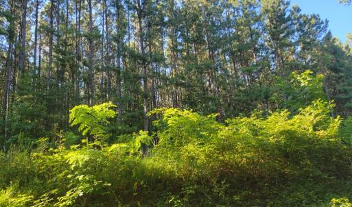 Photo #12 of 626 Double Bridges, Keysville, VA 8.7 acres