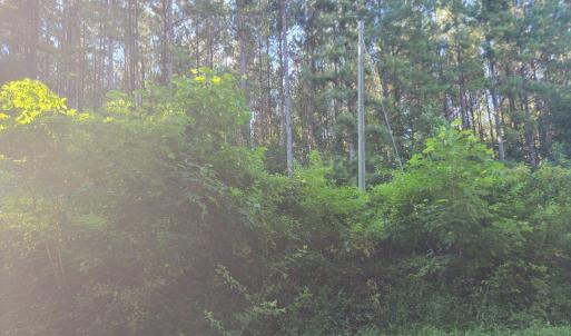 Photo #14 of 626 Double Bridges, Keysville, VA 8.7 acres