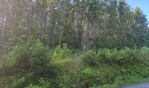 Photo #17 of 626 Double Bridges, Keysville, VA 8.7 acres