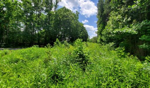 Photo #6 of 626 Double Bridges, Keysville, VA 8.7 acres