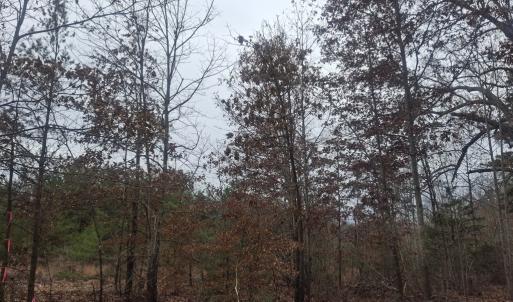 Photo #4 of 0 Indian Pipe Run, Palmyra, VA 21.1 acres