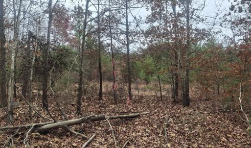 Photo #3 of 0 Indian Pipe Run, Palmyra, VA 21.1 acres