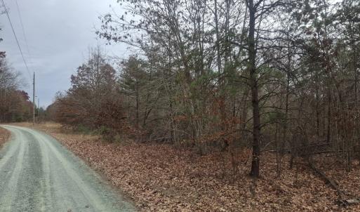 Photo #5 of 0 Indian Pipe Run, Palmyra, VA 21.1 acres