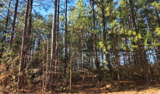 Photo #2 of Mountain Creek Rd, Meherrin, VA 25.0 acres