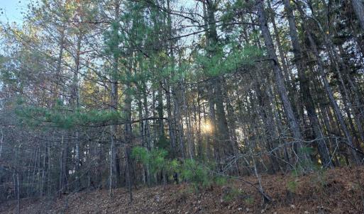 Photo #3 of Mountian Creek Rd, Meherrin, VA 25.0 acres