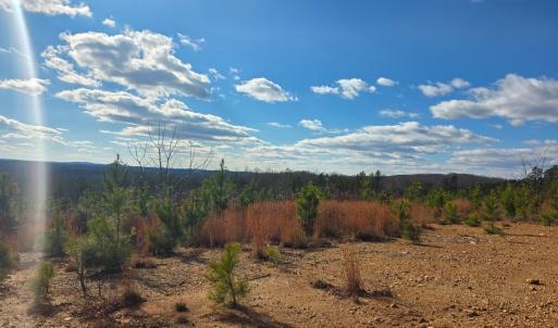 Photo #12 of 4608 Norwood Rd, Gladstone, VA 160.2 acres