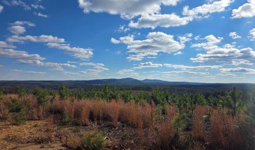 Photo #16 of 4608 Norwood Rd, Gladstone, VA 160.2 acres