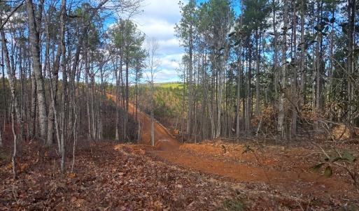 Photo #7 of 4608 Norwood Rd, Gladstone, VA 160.2 acres