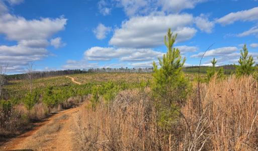 Photo #10 of 5150 Norwood Rd, Gladstone, VA 206.7 acres