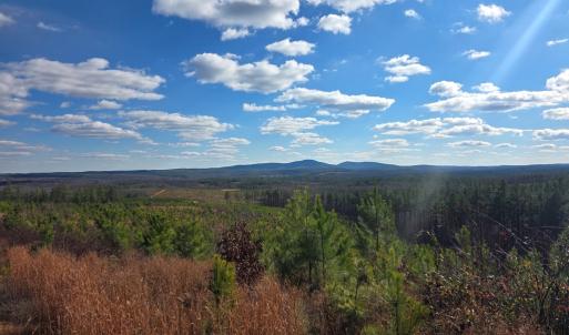 Photo #21 of 5150 Norwood Rd, Gladstone, VA 206.7 acres