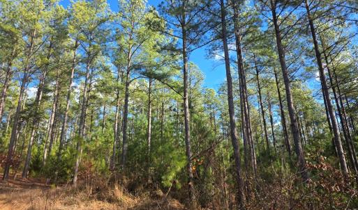 Photo #3 of 5150 Norwood Rd, Gladstone, VA 206.7 acres