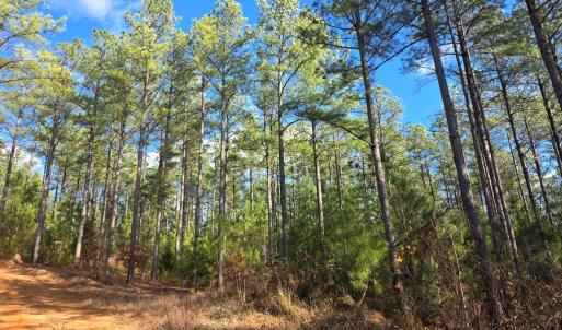 Photo #4 of 5150 Norwood Rd, Gladstone, VA 206.7 acres