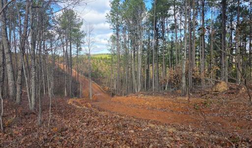 Photo #8 of 5150 Norwood Rd, Gladstone, VA 206.7 acres