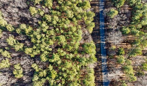 Photo #11 of 00 Namozine Road, Amelia Court House, VA 20.9 acres