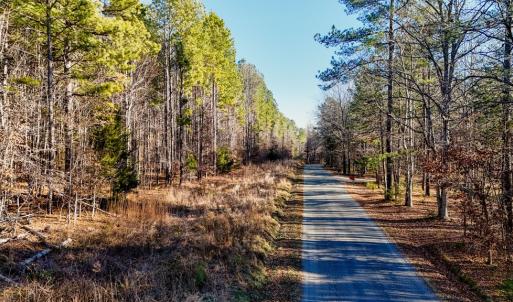 Photo #13 of 00 Namozine Road, Amelia Court House, VA 20.9 acres
