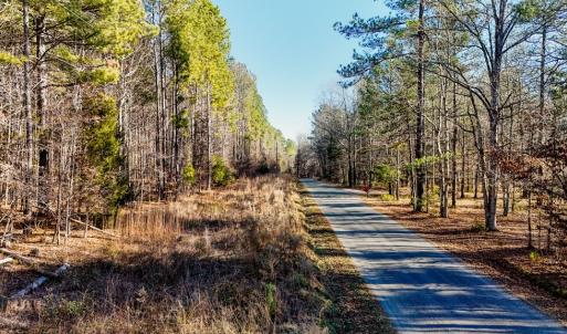 Photo #14 of 00 Namozine Road, Amelia Court House, VA 20.9 acres