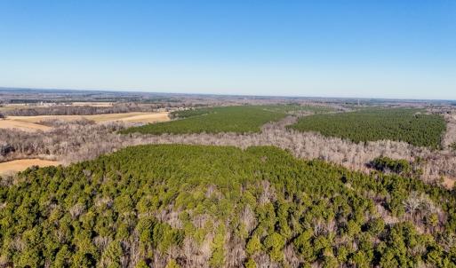 Photo #3 of 00 Namozine Road, Amelia Court House, VA 20.9 acres