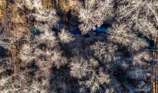 Photo #4 of 00 Namozine Road, Amelia Court House, VA 20.9 acres