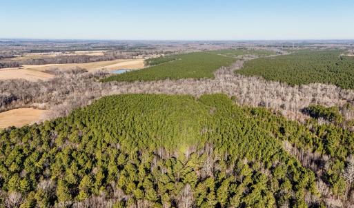 Photo #7 of 00 Namozine Road, Amelia Court House, VA 20.9 acres