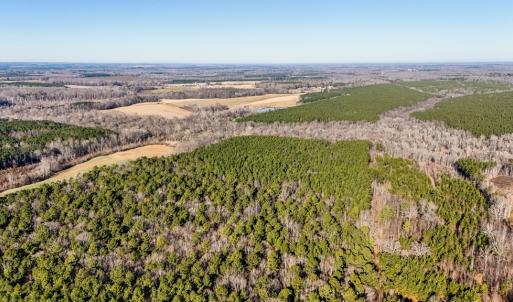 Photo #8 of 00 Namozine Road, Amelia Court House, VA 20.9 acres