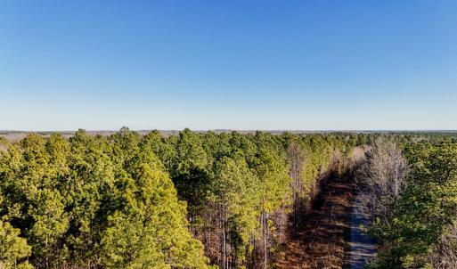 Photo #9 of 00 Namozine Road, Amelia Court House, VA 20.9 acres