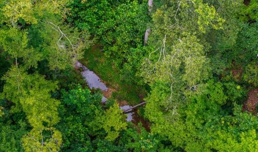 Photo #2 of 626 Holiday Lake Road, Appomattox, VA 20.2 acres