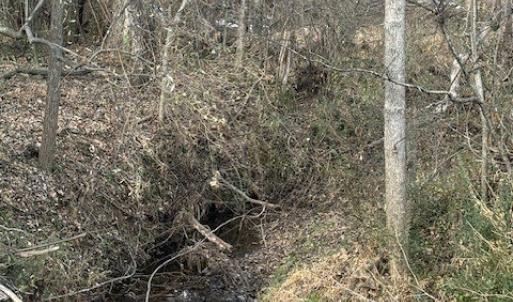 Photo #4 of 626 Holiday Lake Road, Appomattox, VA 20.2 acres