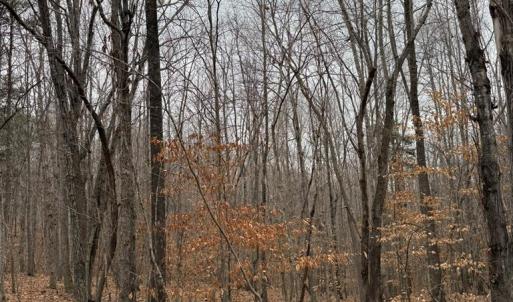 Photo #5 of 626 Holiday Lake Road, Appomattox, VA 20.2 acres