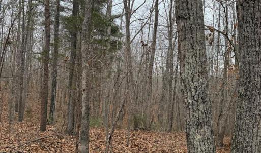 Photo #6 of 626 Holiday Lake Road, Appomattox, VA 20.2 acres