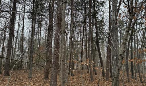 Photo #7 of 626 Holiday Lake Road, Appomattox, VA 20.2 acres