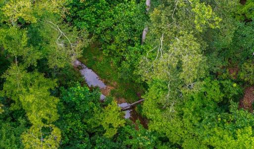 Photo #2 of 626 Holiday Lake Road, Appomattox, VA 20.2 acres