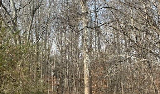 Photo #2 of 626 Holiday Lake Road, Appomattox, VA 20.3 acres