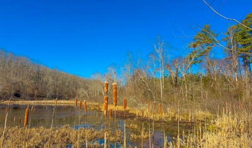 Photo #2 of Crystal Lake Road, Crewe, VA 15.1 acres