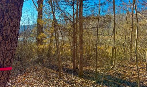 Photo #5 of Crystal Lake Road, Crewe, VA 15.1 acres