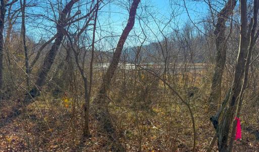 Photo #3 of Crystal Lake Road, Crewe, VA 15.1 acres