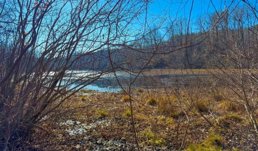 Photo #4 of Crystal Lake Road, Crewe, VA 15.1 acres