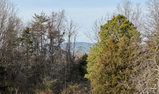 Photo #2 of Watt Abbitt Road, Appomattox, VA 42.7 acres