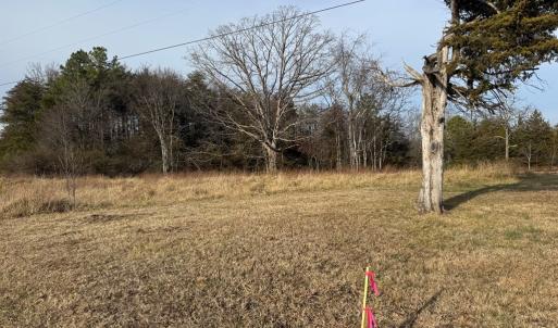 Photo #6 of Watt Abbitt Road, Appomattox, VA 42.7 acres
