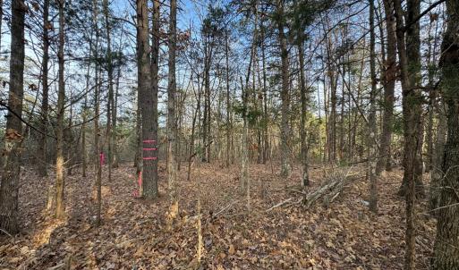 Photo #12 of Watt Abbitt Road, Appomattox, VA 42.7 acres