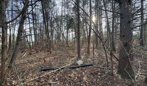 Photo #5 of Watt Abbitt Road, Appomattox, VA 42.7 acres