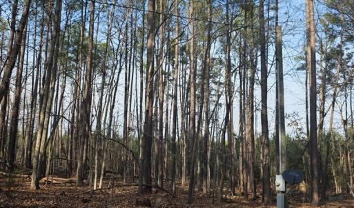 Photo #2 of 3878 Chappell Road, Keysville, VA 3.4 acres