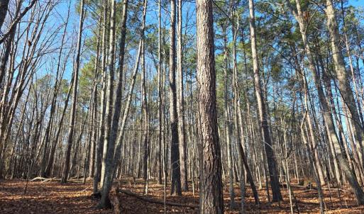 Photo #5 of 3878 Chappell Road, Keysville, VA 3.4 acres