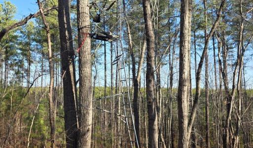 Photo #6 of 3878 Chappell Road, Keysville, VA 3.4 acres