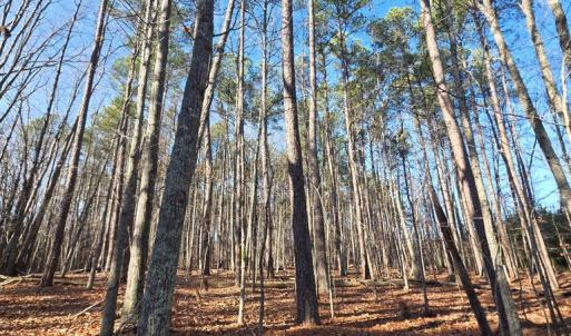 Photo #7 of 3878 Chappell Road, Keysville, VA 3.4 acres