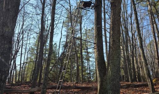 Photo #8 of 3878 Chappell Road, Keysville, VA 3.4 acres