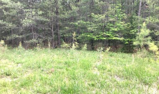 Photo #5 of 60 W. James Anderson Hwy, Buckingham, VA 35.3 acres