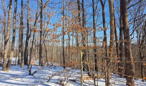 Photo #4 of Country Club Road, Appomattox, VA 10.1 acres