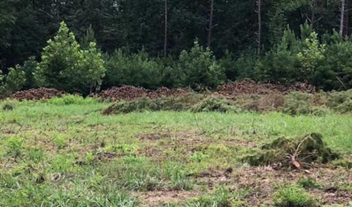 Photo #2 of ESMONT RD, ESMONT, VA 151.4 acres