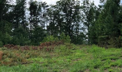 Photo #3 of ESMONT RD, ESMONT, VA 151.4 acres